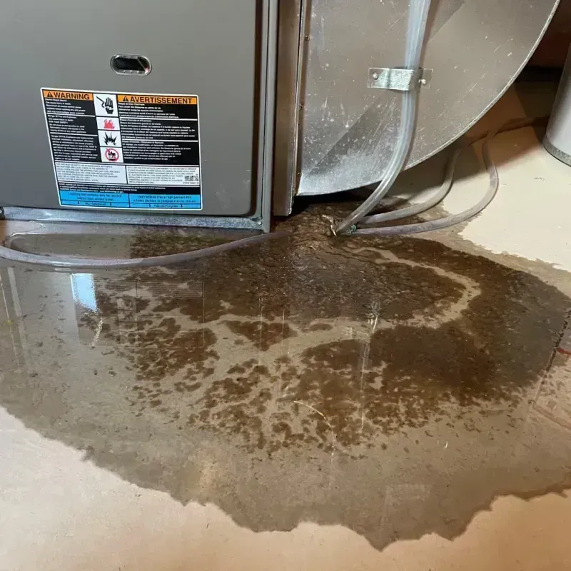 Appliance Leak Cleanup in West Babylon, NY